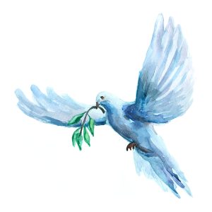 Watercolor,Raster,Illustration,Of,Peace,Dove,Holding,Olive,Branch.,Illustration